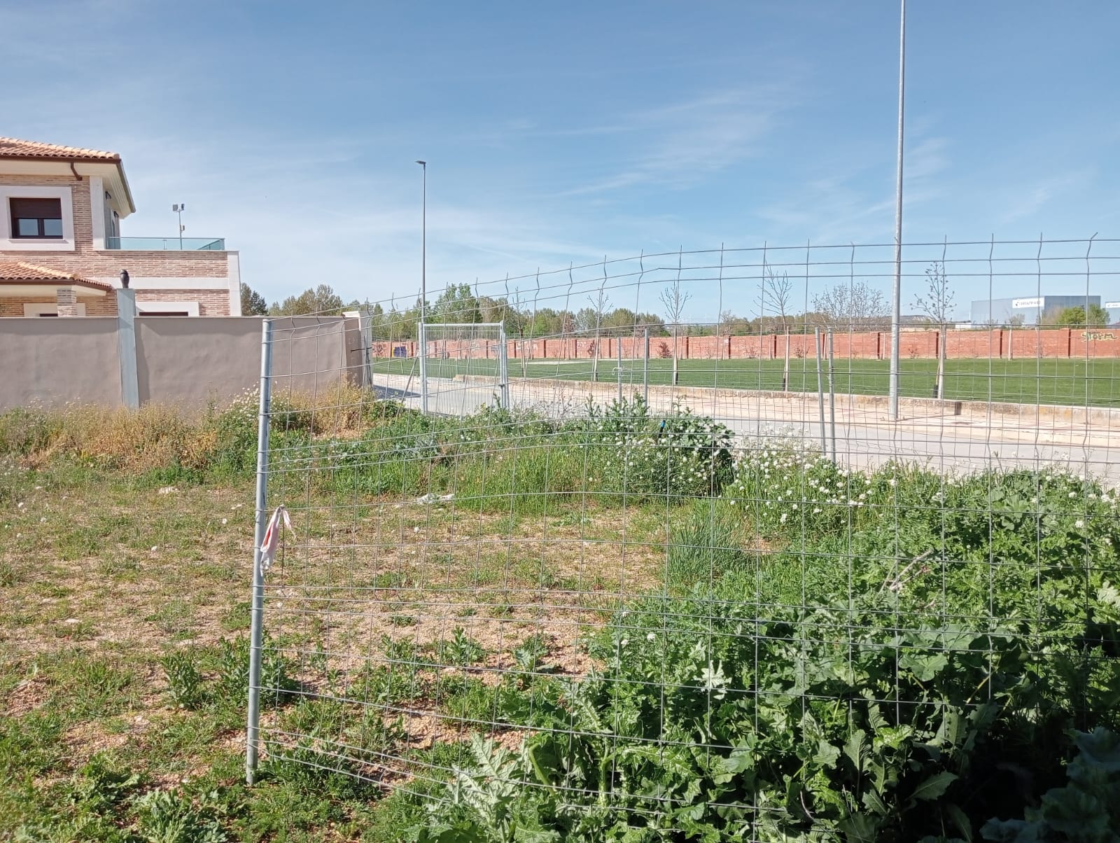 Parcela en venta – Venta de Baños – Palencia