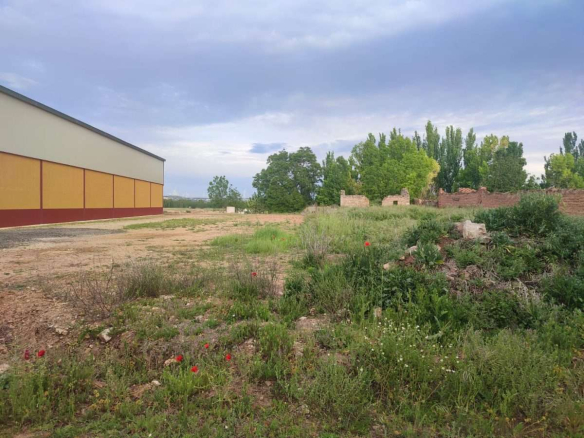 Finca rústica en venta – Torquemada