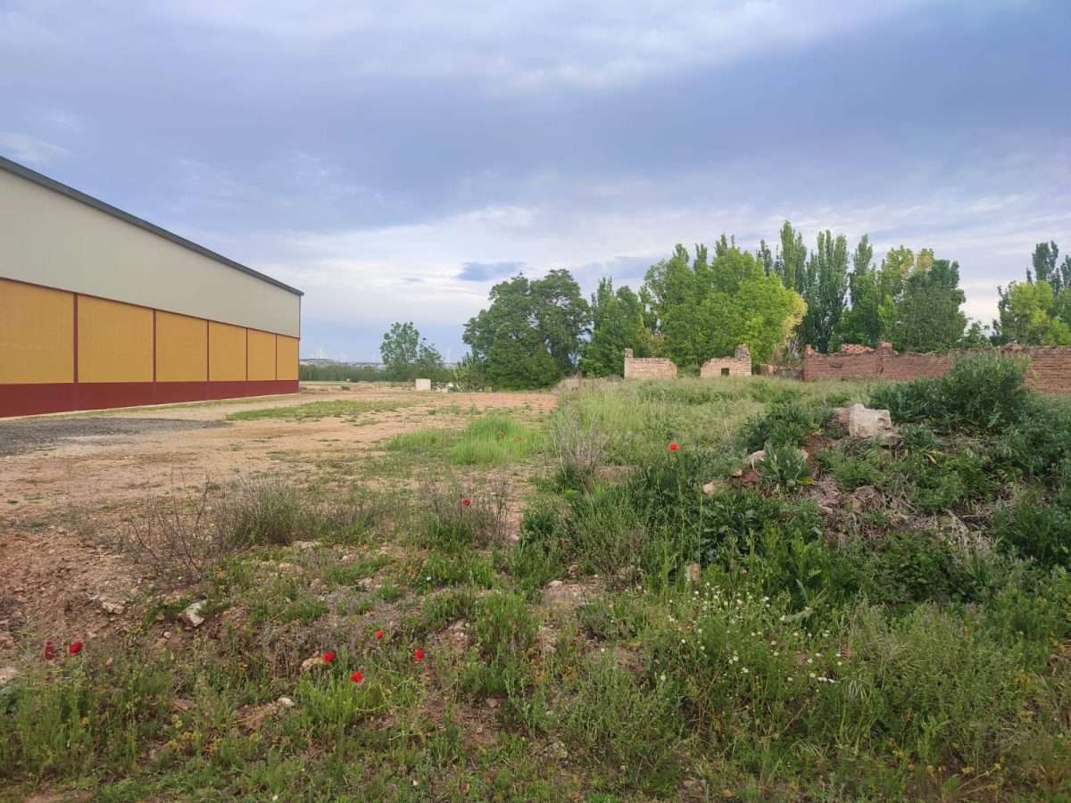 Finca rústica en venta – Torquemada