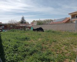 Parcela en venta con proyecto en Venta de Baños - Palencia