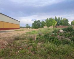 Finca rústica en venta en Torquemada (Palencia)
